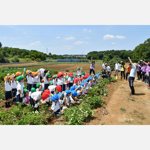 じゃがいも掘り