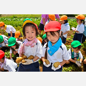 じゃがいも掘り