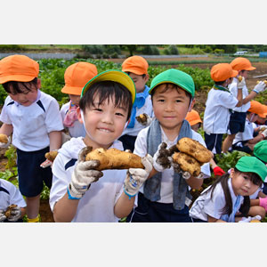 じゃがいも掘り