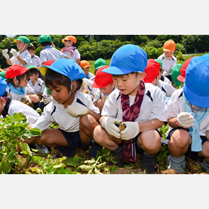 じゃがいも掘り