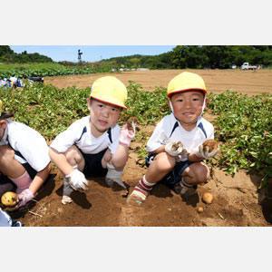 じゃがいも掘り